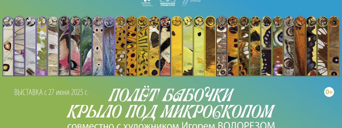 Выставка «Полёт бабочки. Крыло под микроскопом»