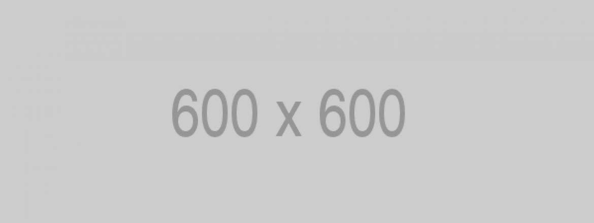 10.000 Khách truy cập Trang Web Trong Một Tháng: Được Đảm bảo