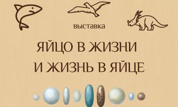 Яйцо в жизни и жизнь в яйце (0+)