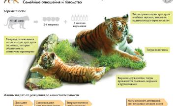Музей природы Бурятии посетили учащиеся коррекционной школы-интерната №2