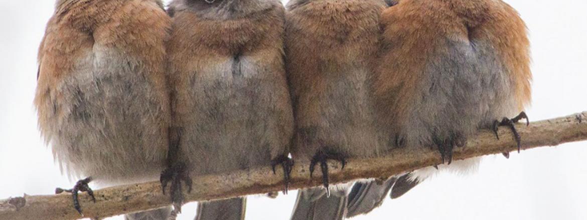 Открытие выставки «Тепло наших тел»