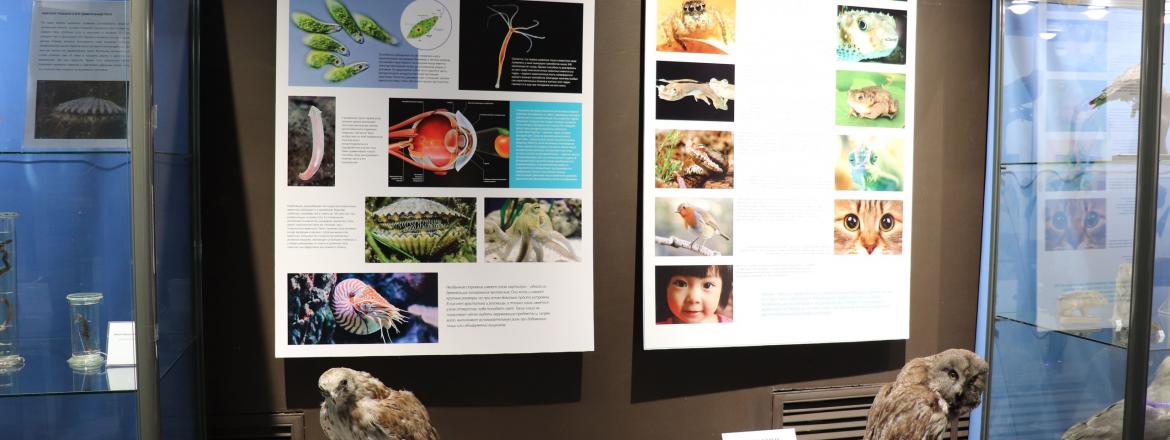 Приглашаем на выставку 