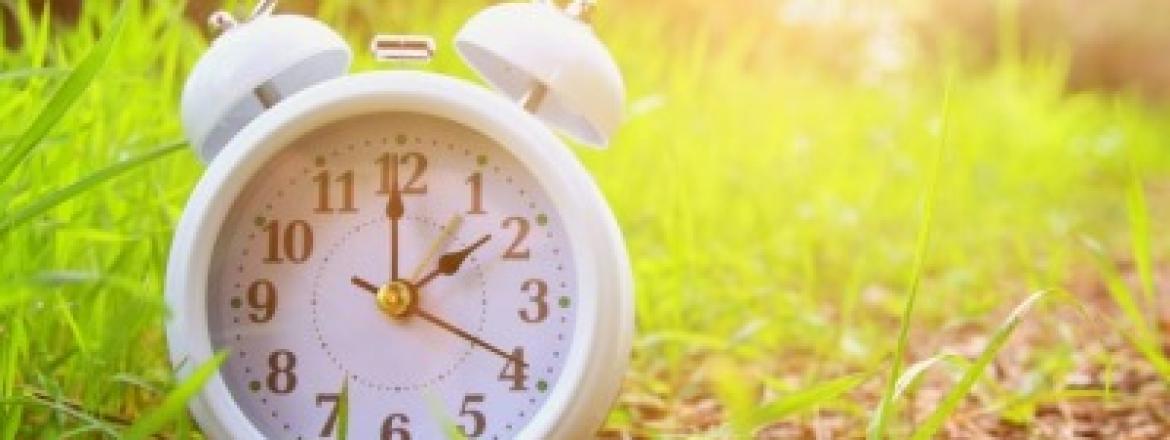 Внимание! Музей переходит на летний режим работы