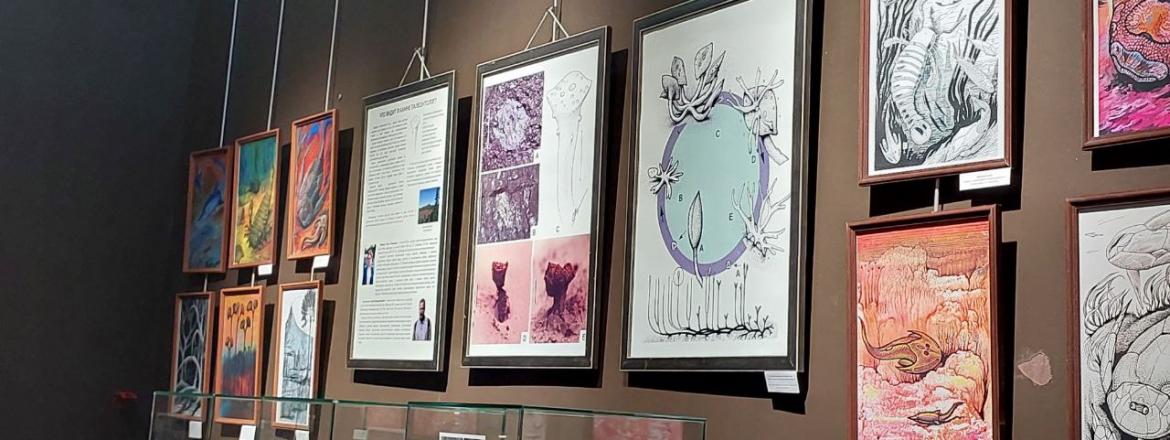 Студенты БГУ погрузились в тайны палеонтологии в Музее природы Бурятии!