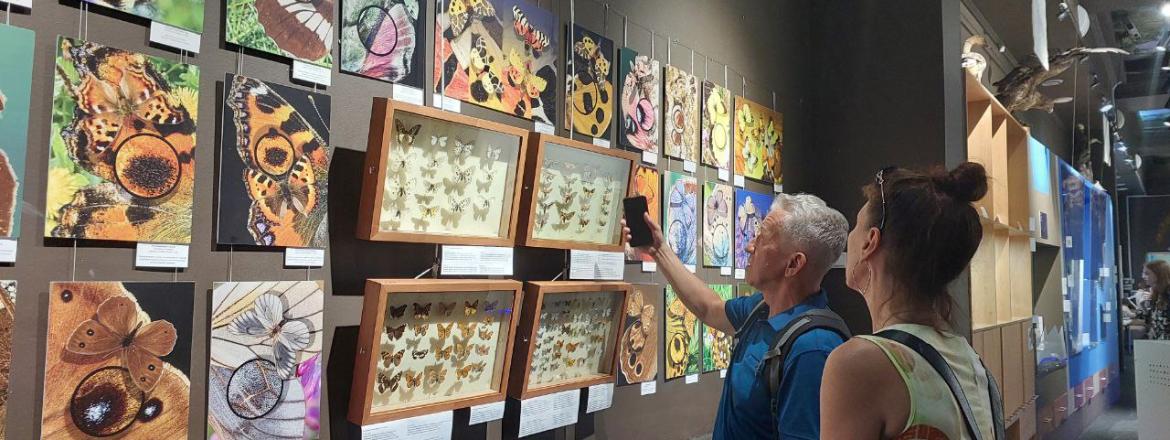Выставка «Полет бабочки. Крыло под микроскопом» открыта!