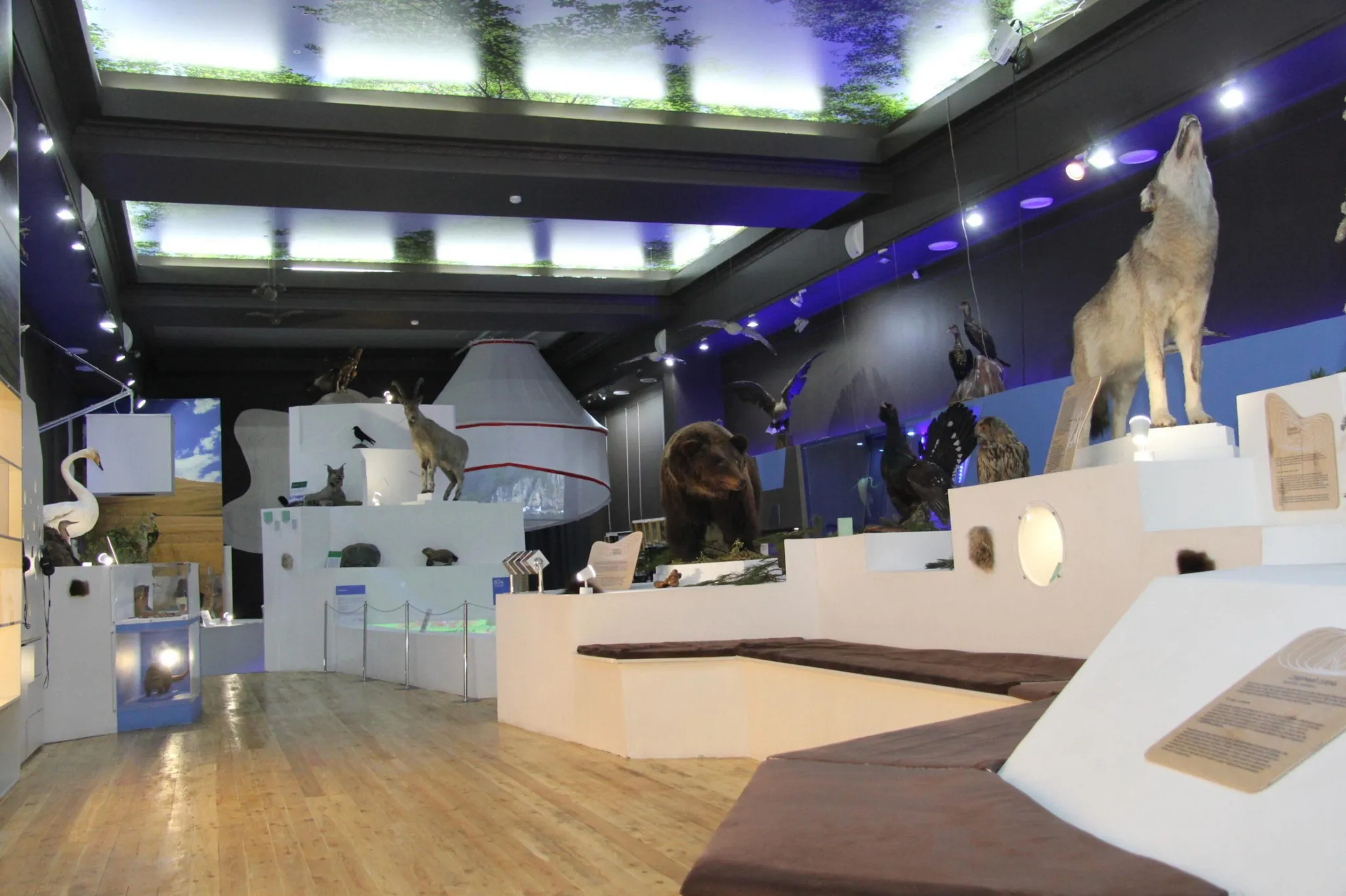 Занятие «Наш общий дом — природа»